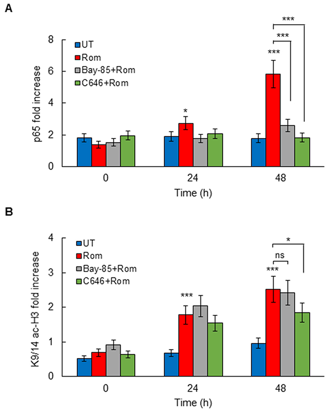 Romidepsin induces HAT-dependent p65 and K9/14 ac-H3 occupancy at CXCL8 promoter.