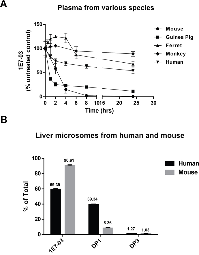 Stability of 1E7-03 in plasma and liver microsomes from different species.