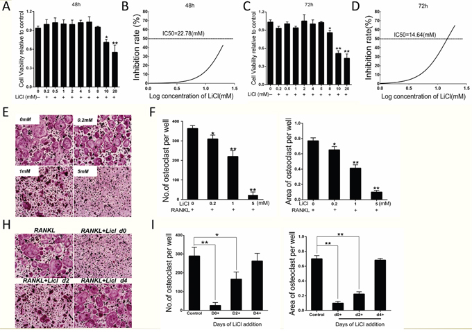 LiCl inhibited RANKL-induced osteoclastogenesis without obvious cytotoxicity.