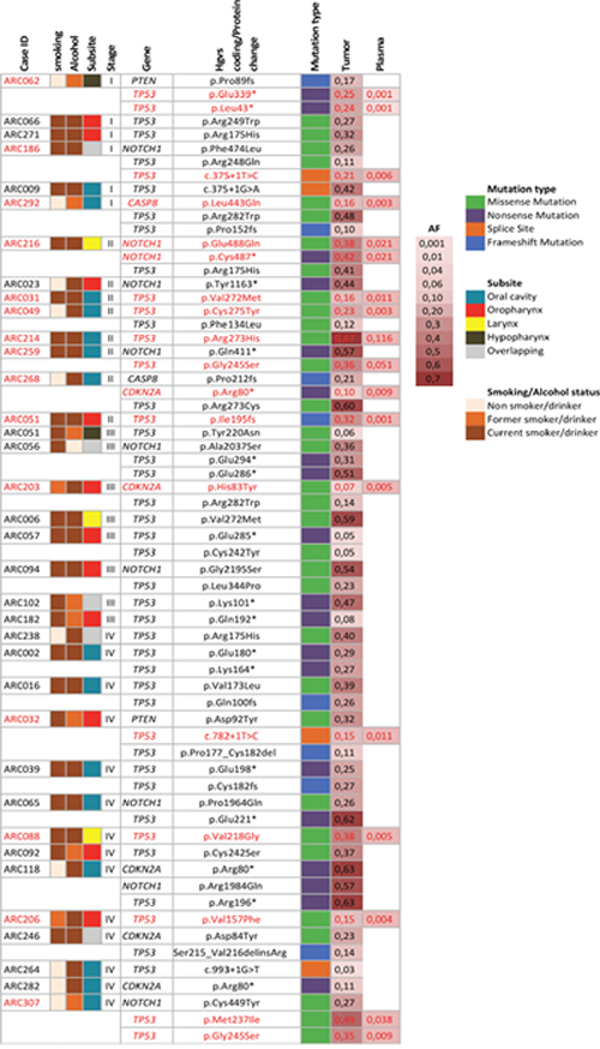 Targeted mutation detection in plasma of 36 HNSCC cases from the ARCAGE study.