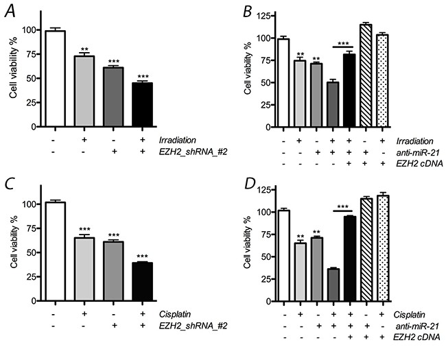 Effect of miR-21 or EZH2 on cell proliferation of LCSCs.