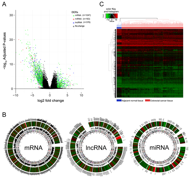 Differentially expressed RNAs(DERs) in colorectal cancer vs adjacent normal tissues.