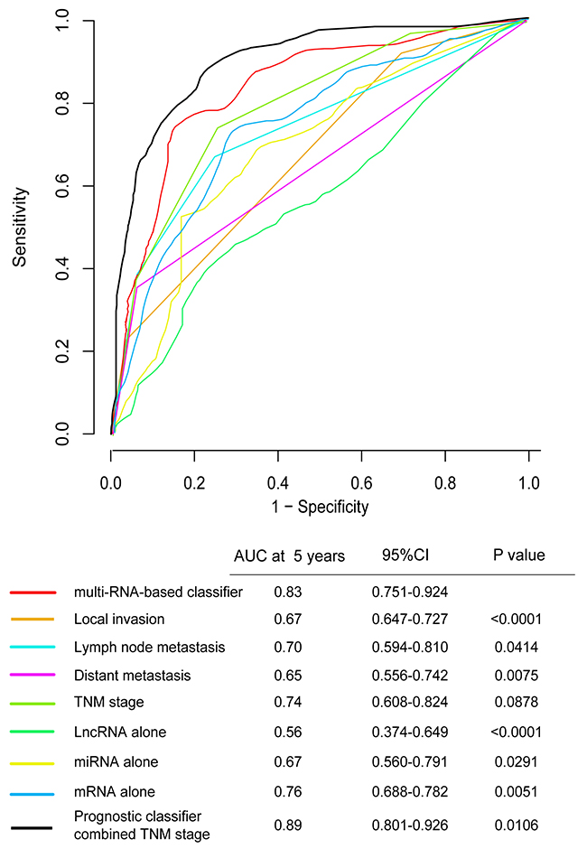Time-dependent ROC curves compare the prognostic accuracy among the prognostic classifier, clinicopathological features and mRNA, miRNA, lncRNA alone in 598 patients.