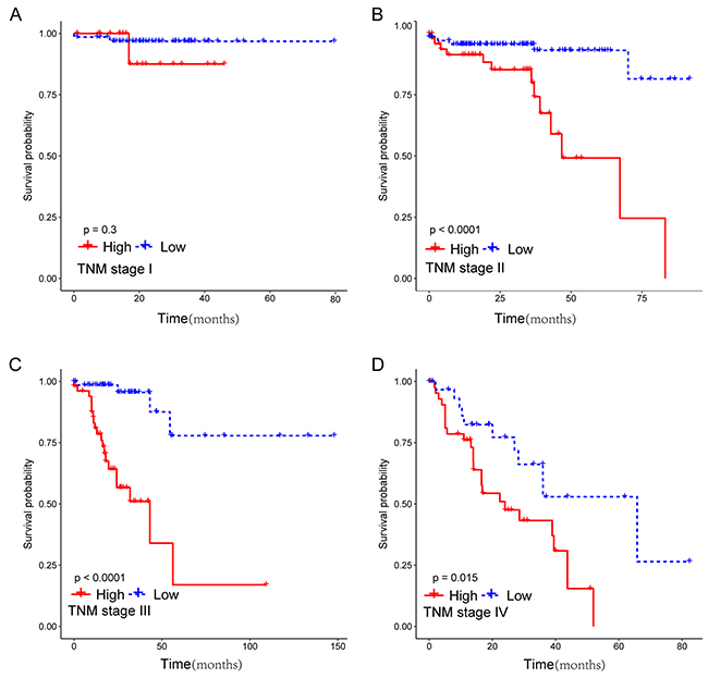 Kaplan-Meier survival analysis for 633 patients according to the prognostic classifier stratified by TNM stage.