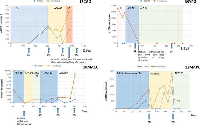 ctDNA levels (copies/ml) of patients 13CGG, 29YPG, 18MACC and 12MAPE.