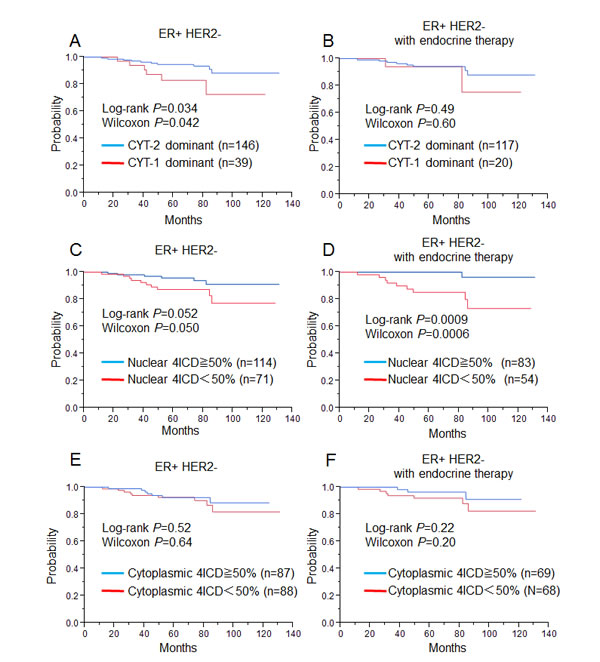 Relapse free survival for ER+ HER2- breast cancer patients (left, A, C, E: n=185) and ER+ HER2- breast cancer patients treated with only endocrine therapy (right, B, D, F: n=122), using the Kaplan-Meier methods and verified by the wilcoxon test and the log-rank test.