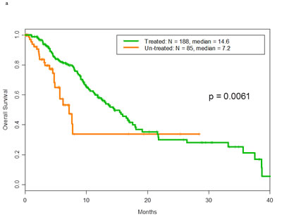 a Overall survival of patients with mutant p53 tumors