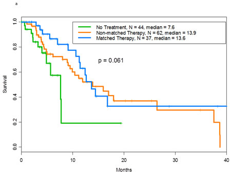 a Overall survival of patients with mutant p53 tumors by whether they received matched targeted therapy (n=37)-, non-matched (n=62)-, or no therapy (n=44) for the other aberrations with a median survival of 13.6, 13.9 and 7.6 months, respectively.