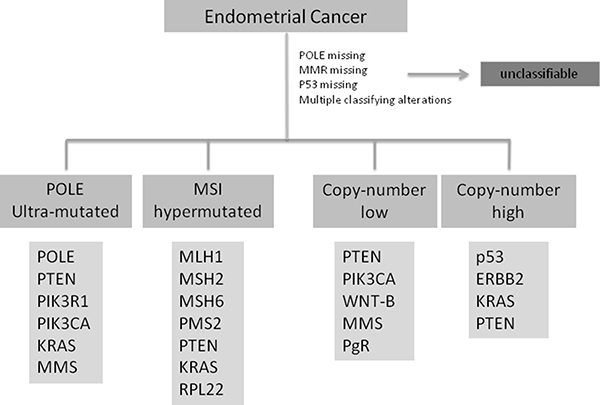 endometrial cancer genetics)