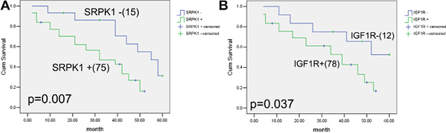 Correlations between SRPK1, IGF1R expression and prognosis of gastric cancer patients.