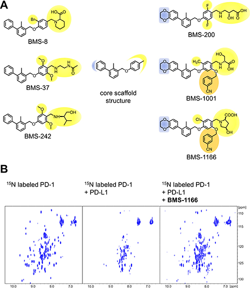 Structures and the PD-1/PD-L1 blocking potential of BMS compounds.