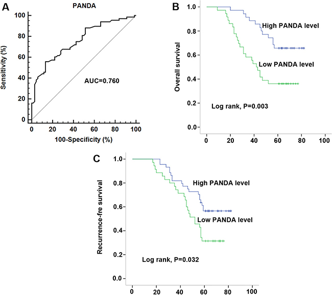 Decreased serum PANDA expression was associated with poor clinical outcome in DLBCL patients.