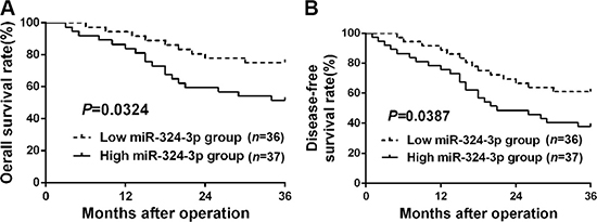 The prognostic significance of miR-324-3p in HCC patients.