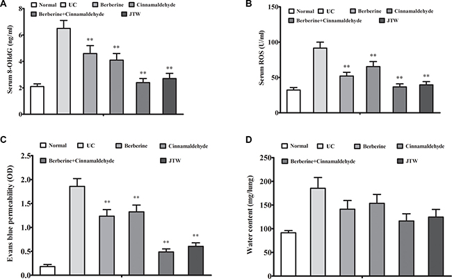 Berberine and cinnamaldehyde together decreased oxidative stress and lung epithelium integrity.