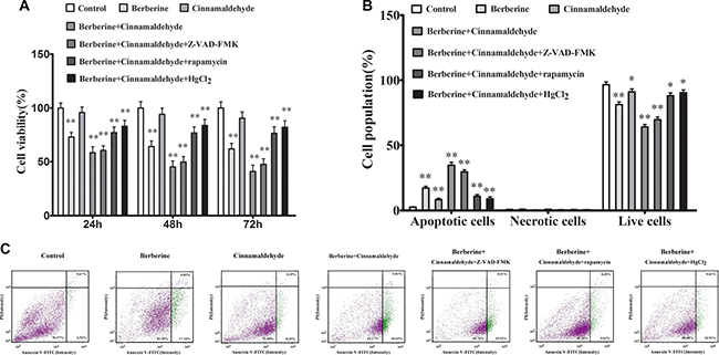 Berberine and cinnamaldehyde together suppressed A549 cell proliferation and promoted apoptosis (n = 3) (B) and (C) in a time-dependent manner (n = 6) (A) *P &#x003C; 0.05, **P &#x003C; 0.01 vs control.
