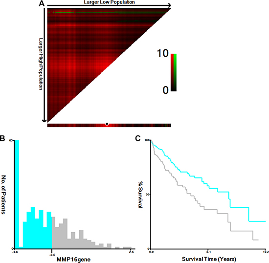 Determination of cut-off values of MMP16 expressions in TCGA database and survival analyses.