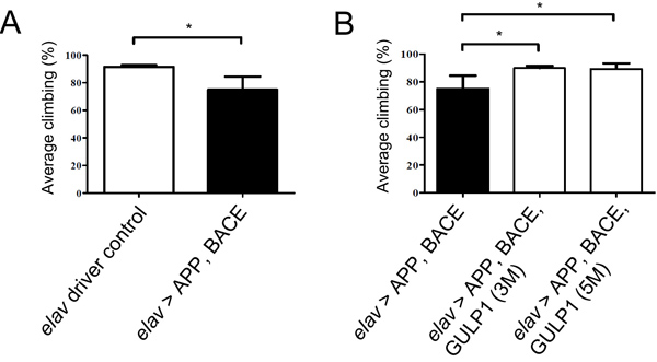 GULP1 ameliorates APP and BACE-induced locomotor dysfunction in a