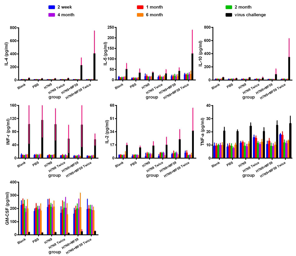 Systemic expression of Th1 (IFN-&#x3b3; and IL-2), Th2 (IL-4, IL-5, and IL-10) and other cytokines (TNF-&#x3b1;) in experimental groups.