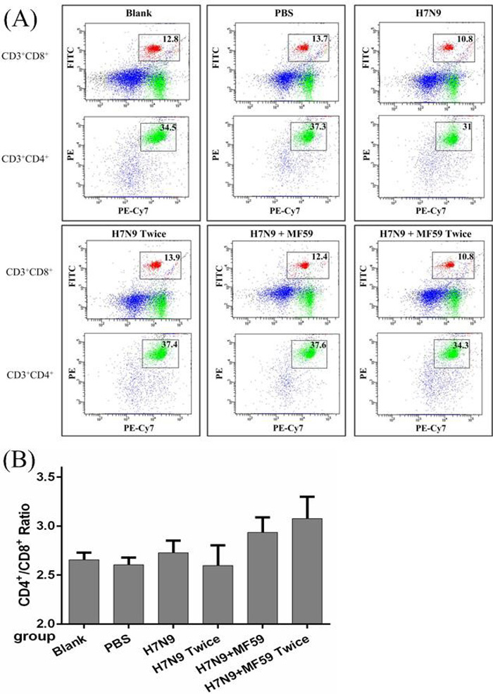 The spenocyte subpopulations of CD3