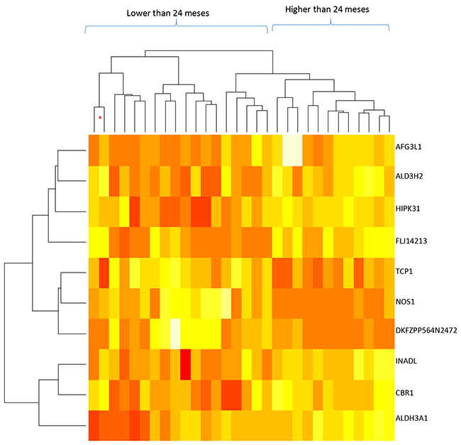 Dendrogram of mRNA levels and patient survival times for the whole sample (30 samples; stages IA to IIB).