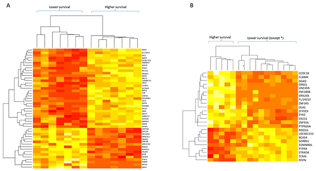 Dendrograms of mRNA levels and patient survival times for patient subgroups with stages I-IIA and IIB tumors.