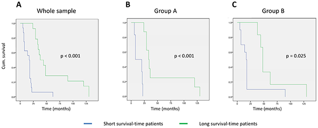 Kaplan&ndash;Meyer curves for patient survival based on the mRNA-profile classification.