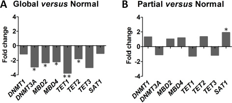 Distinct epigenetic regulator profiles according to the 3 cytosine derivative subgroups.