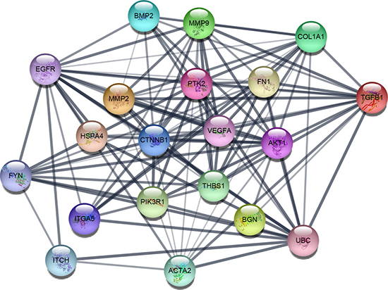 The protein-protein interaction network of top 15 hub genes.