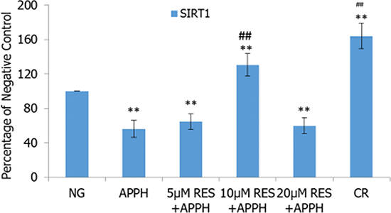 Effect of resveratrol (RES) and caloric restriction (CR) on SIRT1 mRNA expression in IMR-90 cells.