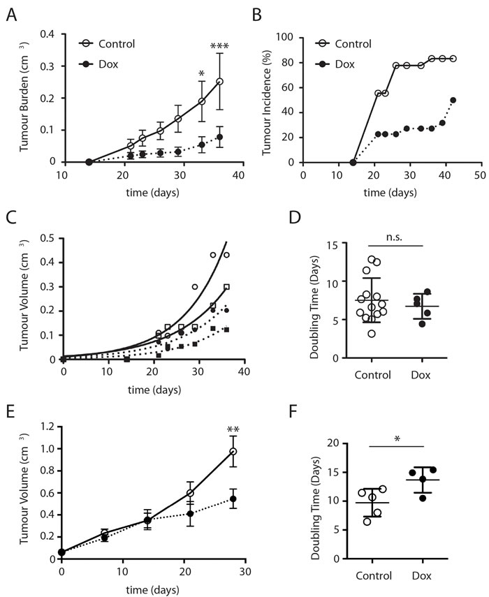 &#x2206;Sin1 expression suppresses DLD1 subcutaneous tumour growth in NOD/SCID mice.