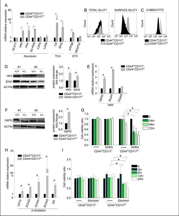 CD44