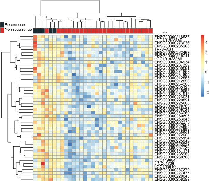 Unsupervised hierarchical clustering of AMI patients with and without recurrent events based on expression levels of 46 significantly differentially expressed lncRNAs.