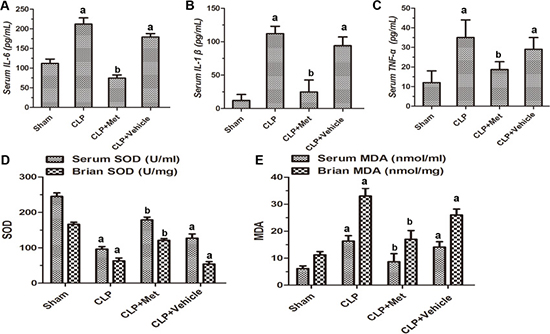 Effect of metformin on the levels of inflammatory cytokines and oxidative stress.