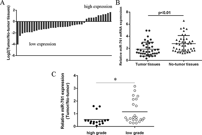 miR-761 expression was downregulated in colorectal cancer tissues.