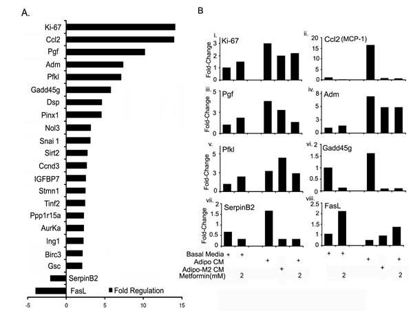 FIGURE 6: Metformin inhibited expression of adipocyte induced tumor promoting genes.