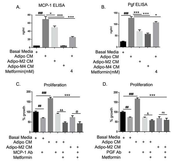 FIGURE 7: MCP-1 and Pgf neutralization blocked adipocyte potentiation of ID8 proliferation.