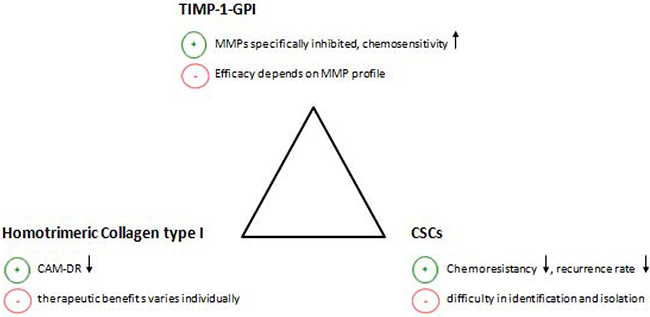The figure shows three different approaches to improve the chemosensitivity of fibrosarcoma.