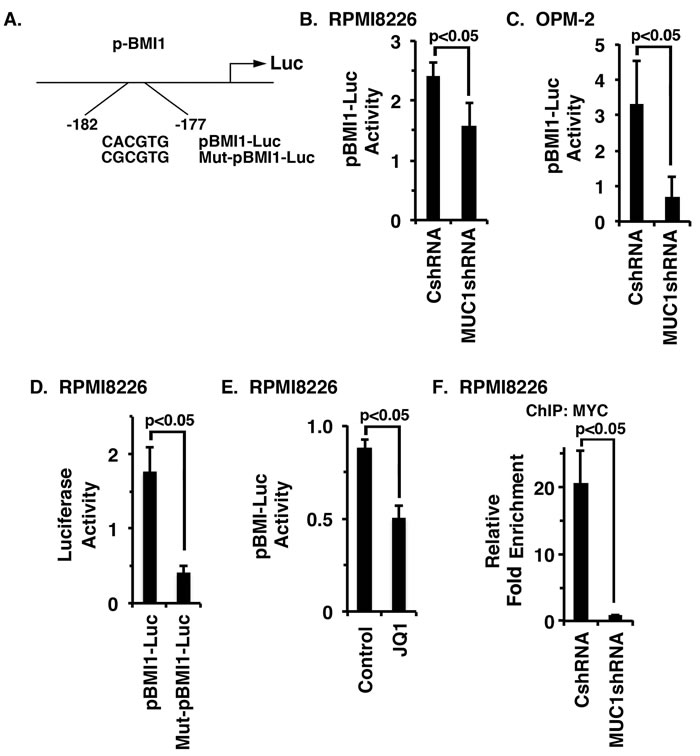 MUC1-C activates BMI1 gene transcription by a MYC-dependent mechanism.