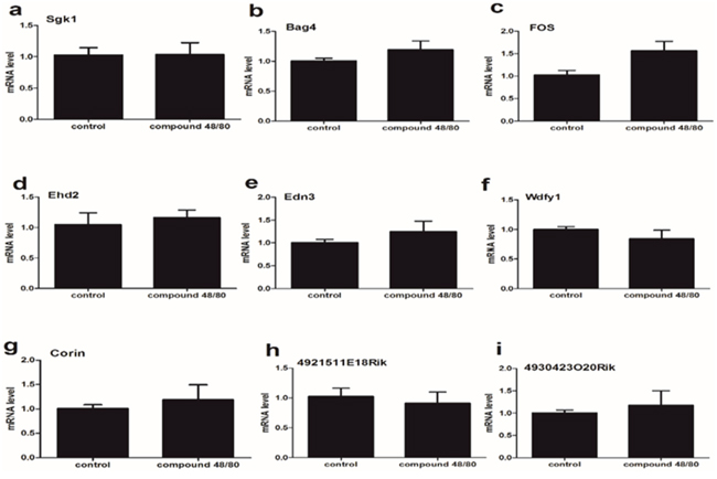 The expression of 9 mRNA in the spinal cord (lumbar enlargement) from compound 48/80-evoked pruritus mice.