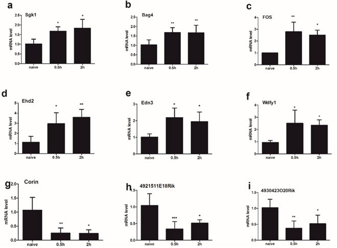 The expression of 9 mRNA were analyzed in the spinal cord (C5-C8) at different time points (0.5h/2h) after compound 48/80 injection.