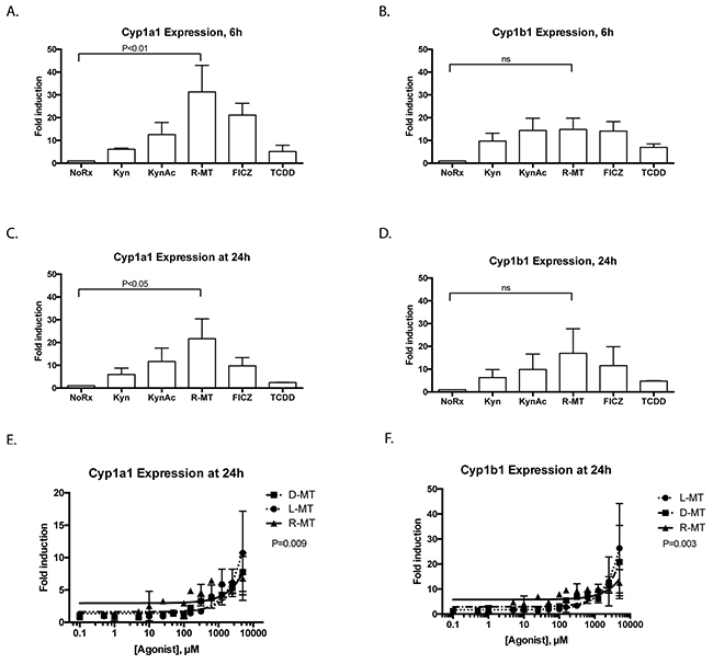 Known AHR ligands and Trp derivatives activate the AHR response in MSCs.