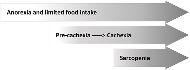 Causes and consequences of malnutrition in cancer: anorexia, cachexia, and sarcopenia.