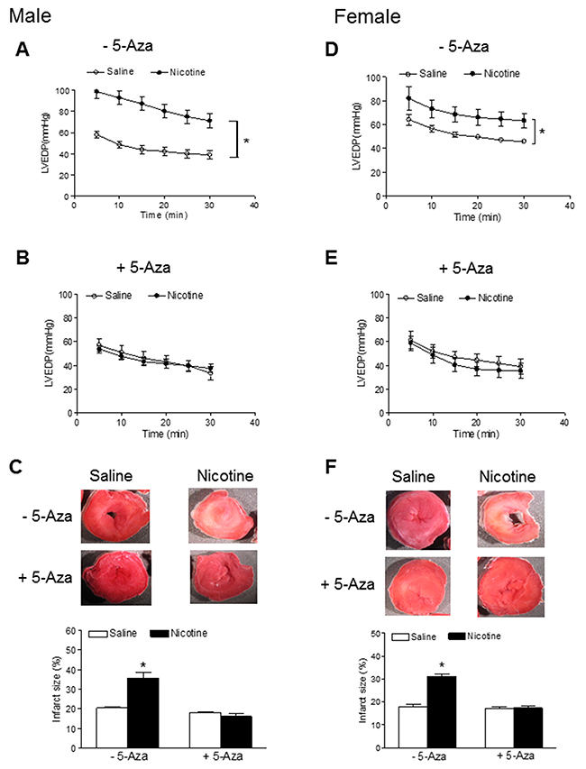 5-Aza prevented perinatal nicotine-induced increase in myocardial infarction in offspring.