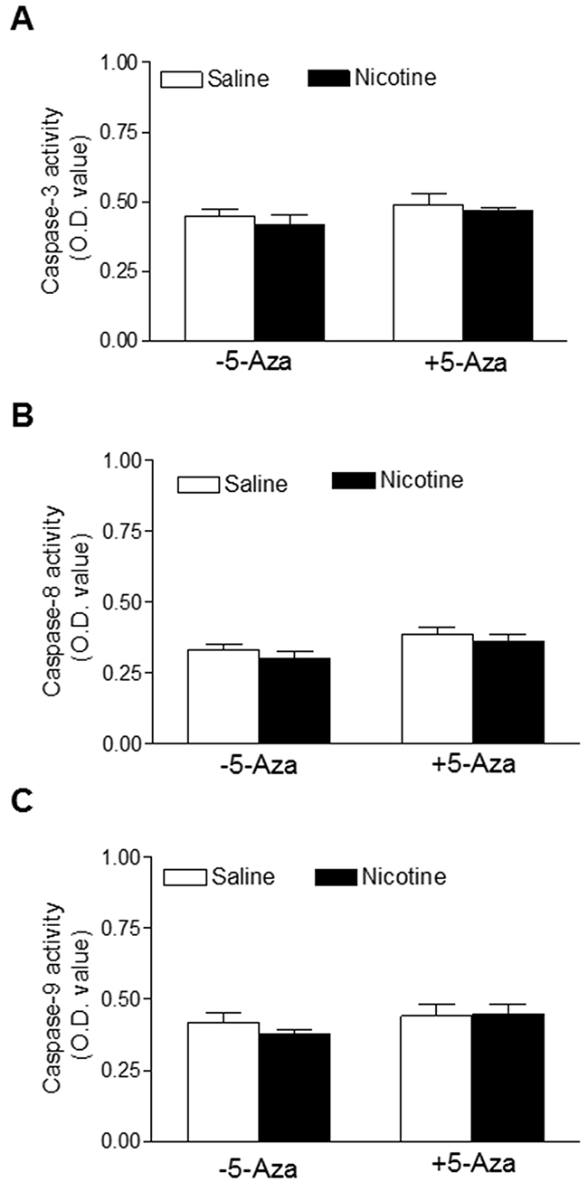 Effects of 5-Aza on perinatal nicotine-mediated changes of caspase activities in the LV tissues of male offspring.