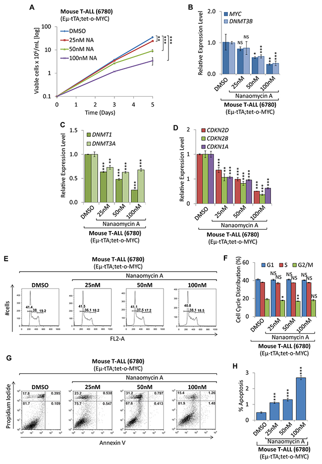 Pharmacologic inhibition of DNMT3B function decreased tumor cell proliferation.