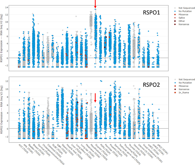 Expression of RSPO1 and RSPO2 at the mRNA level in the tumors in the TCGA database for which expression data is reported.