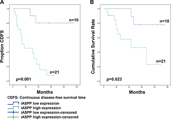 The association of iASPP expression with the prognosis of patients with spinal chordoma.
