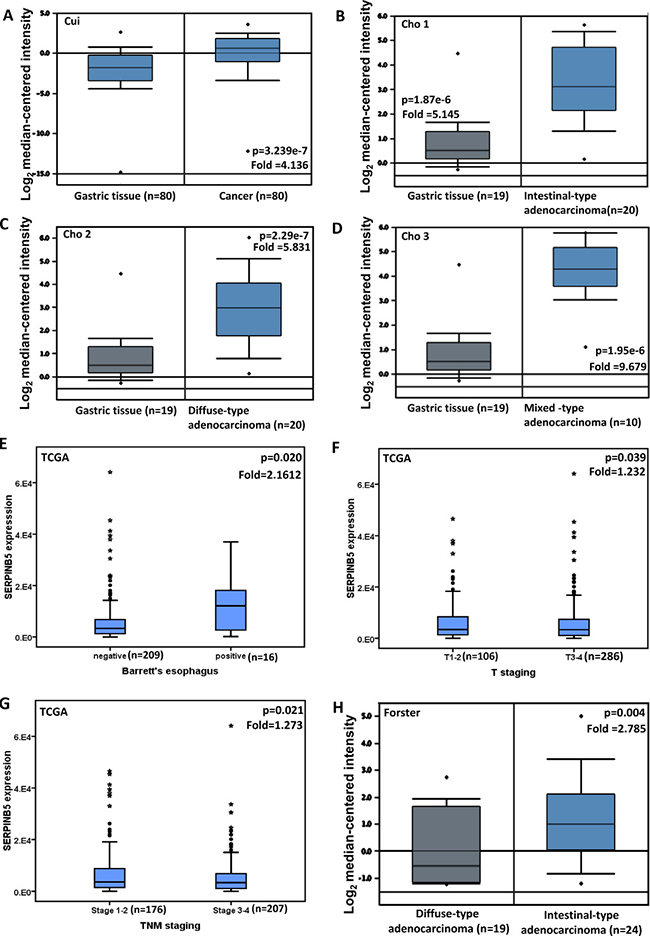 SERPINB5 mRNA expression in gastric carcinogenesis and subsequent progression.