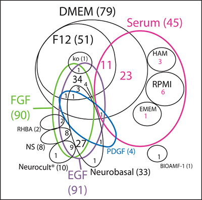 Literature review of growth conditions used in GBM primary cultures.