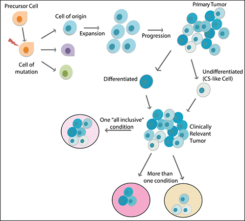 The main players in the evolution of a cancer.